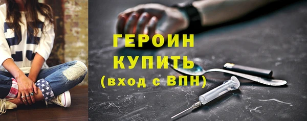прущие грибы Сосновый Бор
