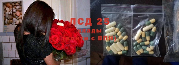 прущий лед Алзамай