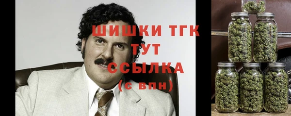 прущий лед Алзамай