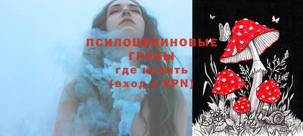 прущий лед Алзамай