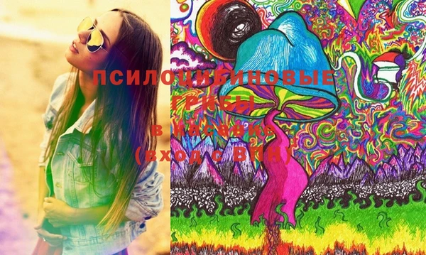 прущие грибы Сосновый Бор