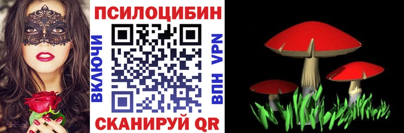 Псилоцибиновые грибы прущие грибы  mega рабочий сайт  Брянск  цены  